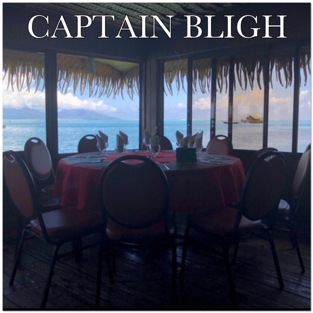 captain bligh
