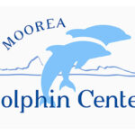 Dolphin-center